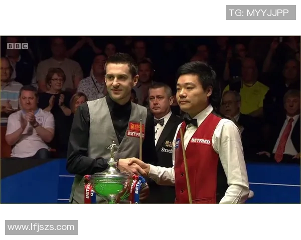 丁俊晖与塞尔比精彩对决比分揭晓乒乓球赛场再掀波澜